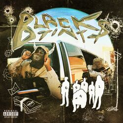 Cover of Black Tint$