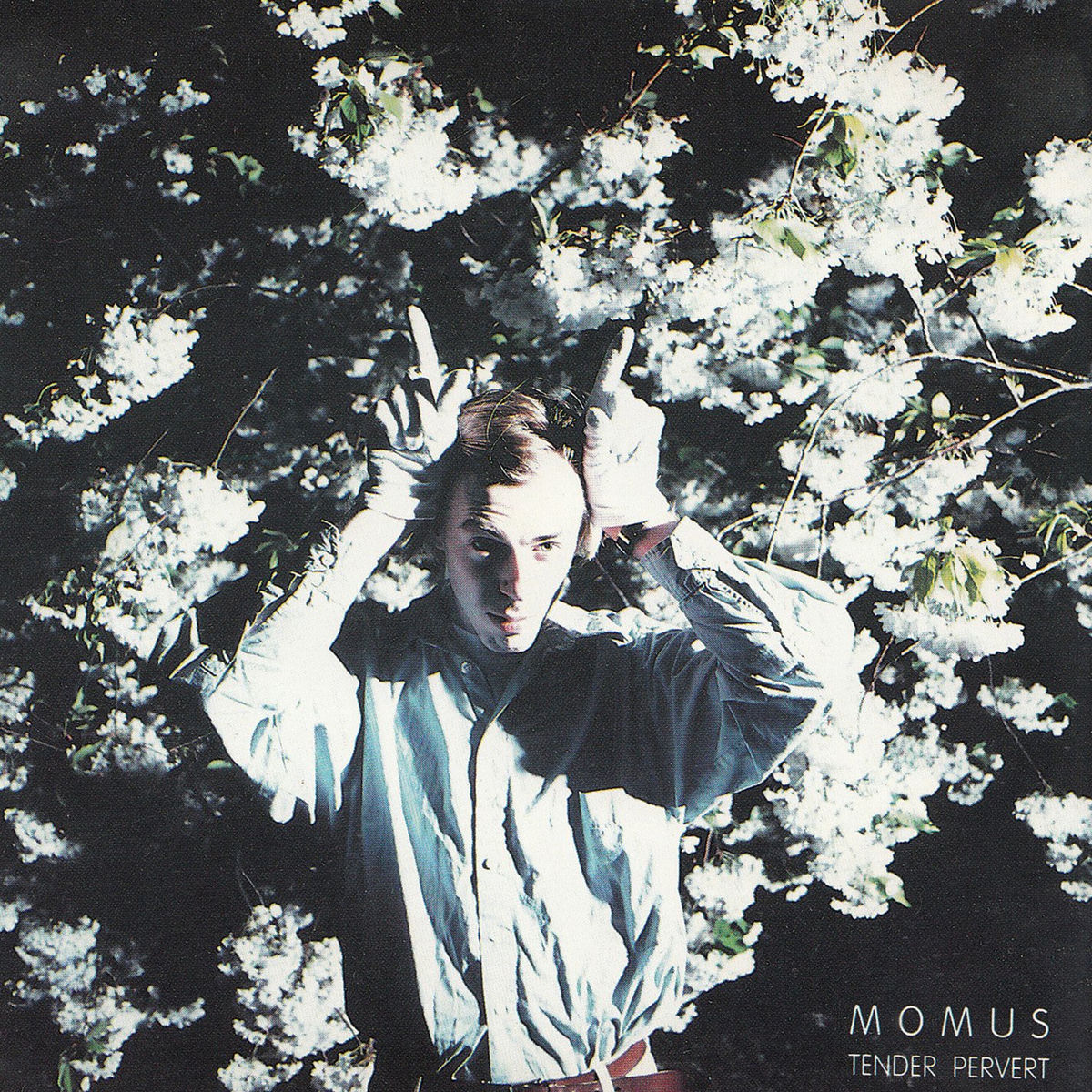 Momus: albums, songs, concerts | Deezer