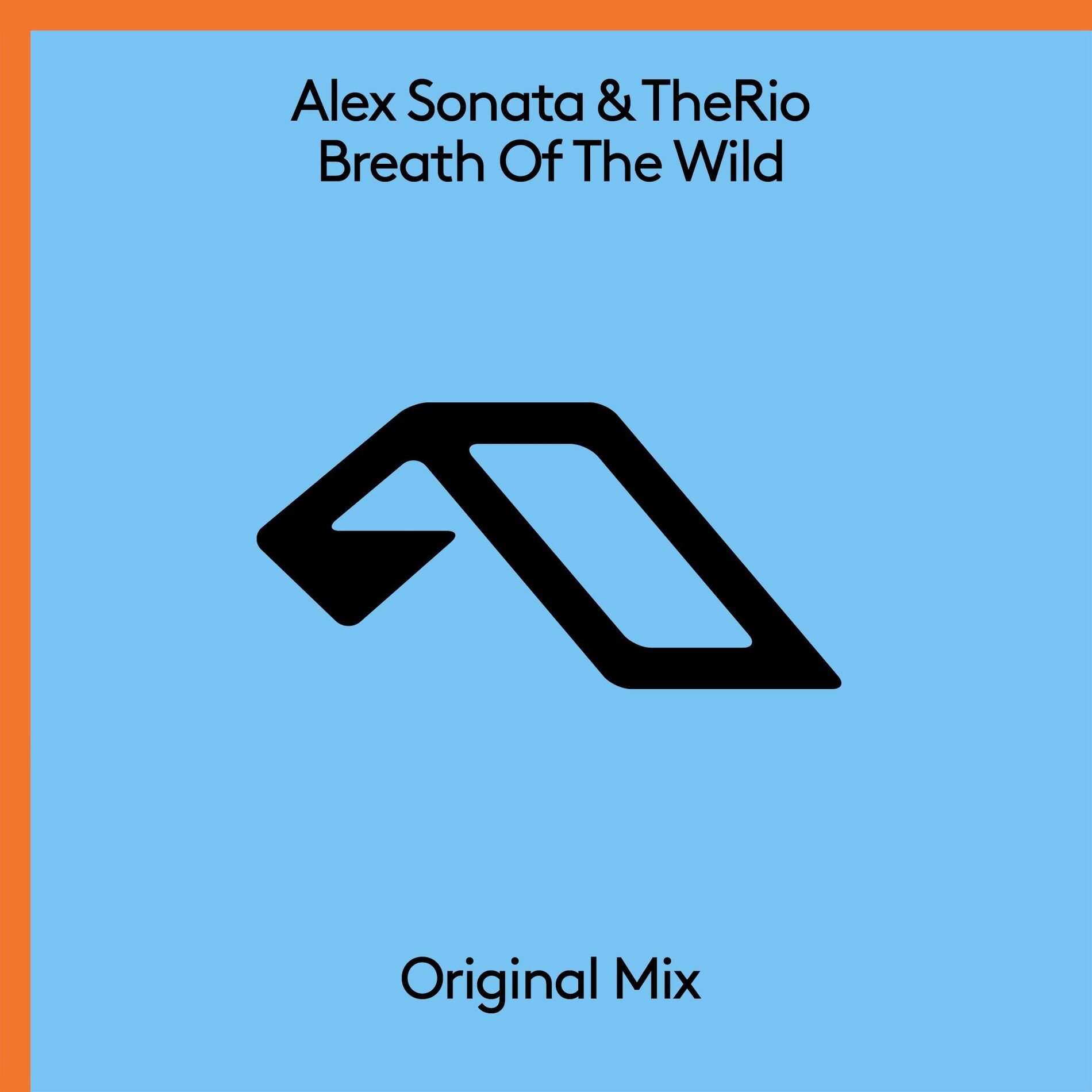 Album cover of Breath Of The Wild