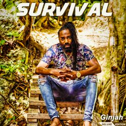 Cover of Survival (Deluxe)