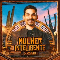 Cover of Mulher Inteligente