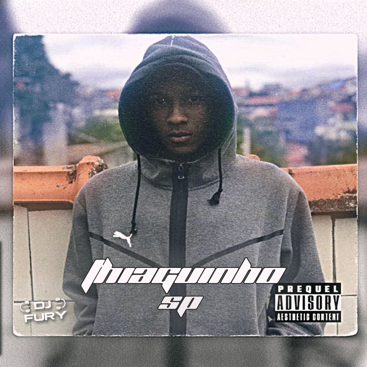 Album cover of Ela é Louca - mc thiaguinho sp - dj fury