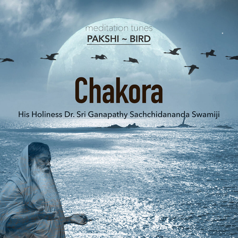 Picture of Meditation Tunes - Pakshi / Bird - Chakora