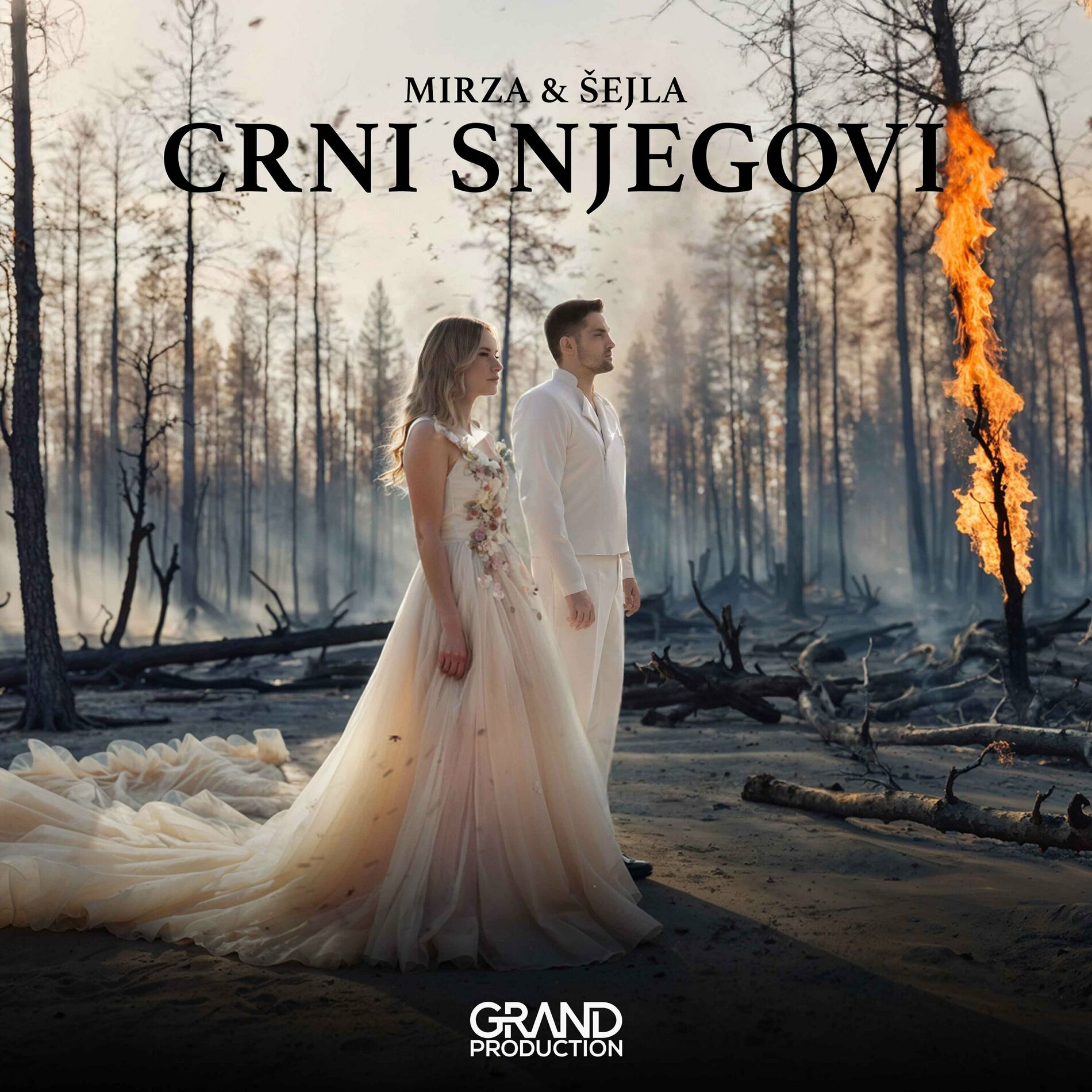 Album cover of Crni Snjegovi