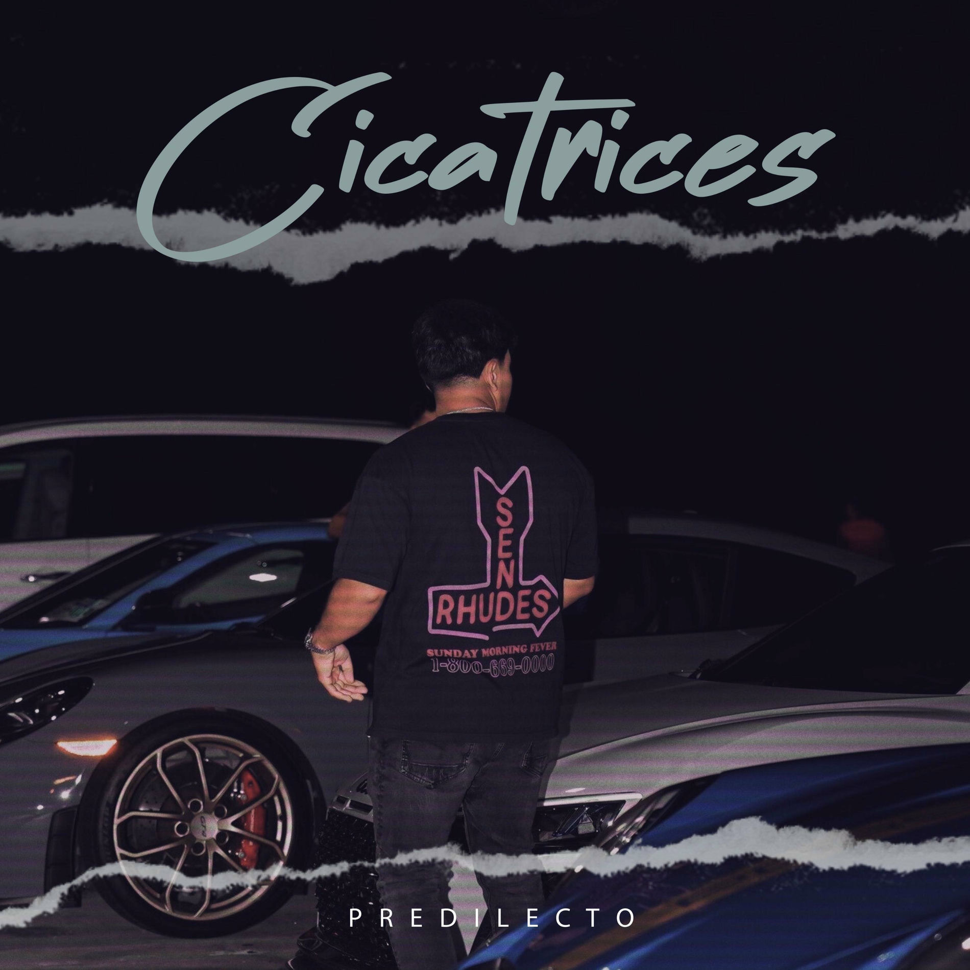 Album cover of Cicatrices
