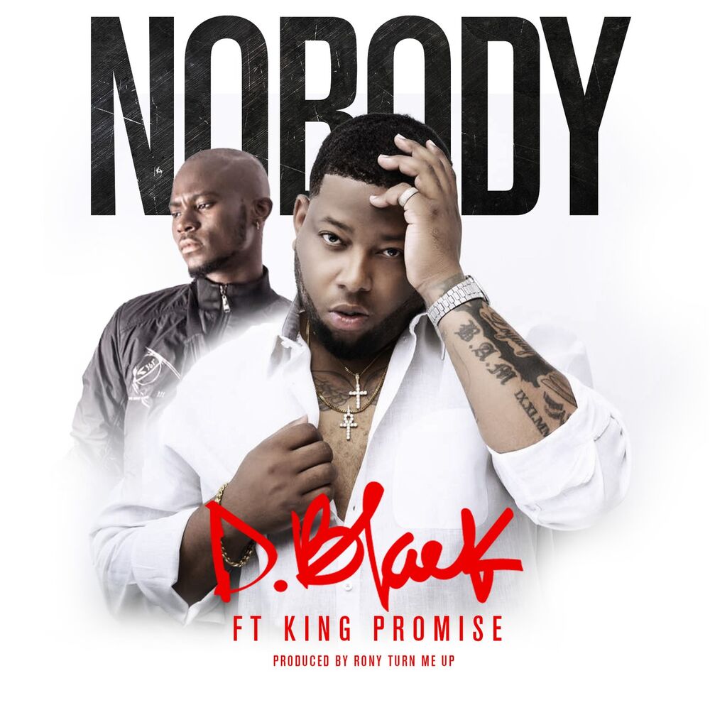 Picture of Nobody (feat. King Promise)