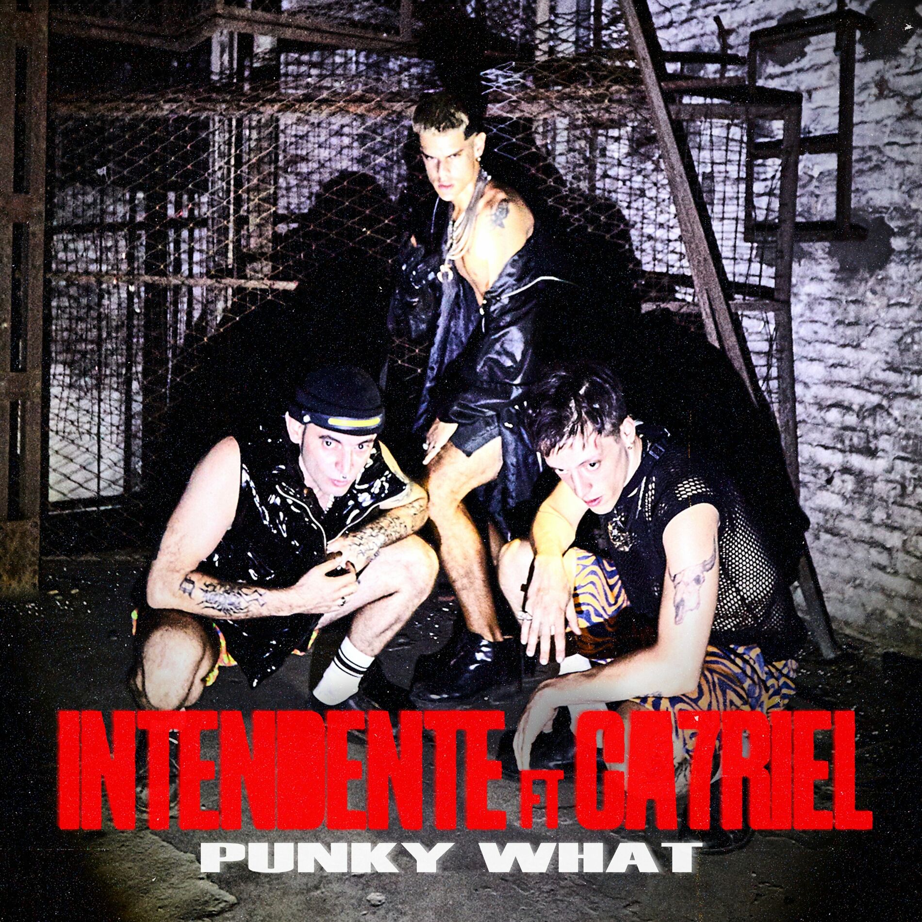 Album cover of PUNKY WHAT