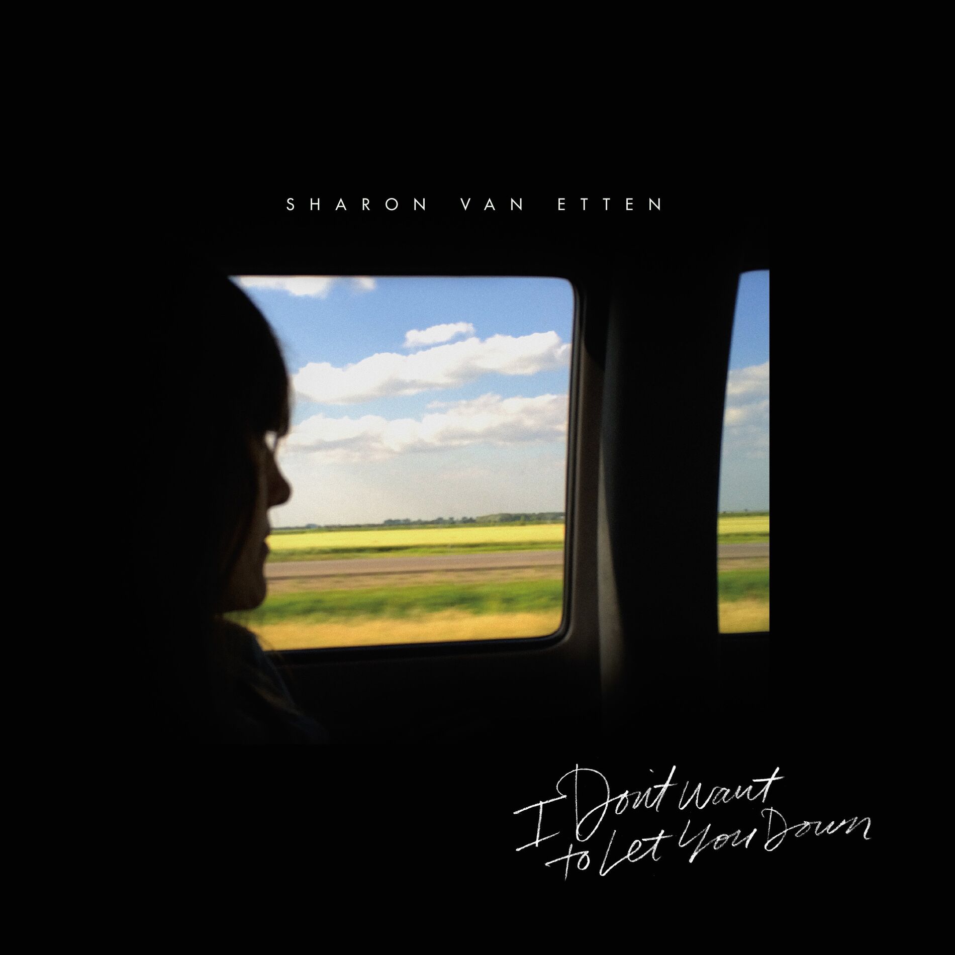 Album cover of I Don't Want to Let You Down