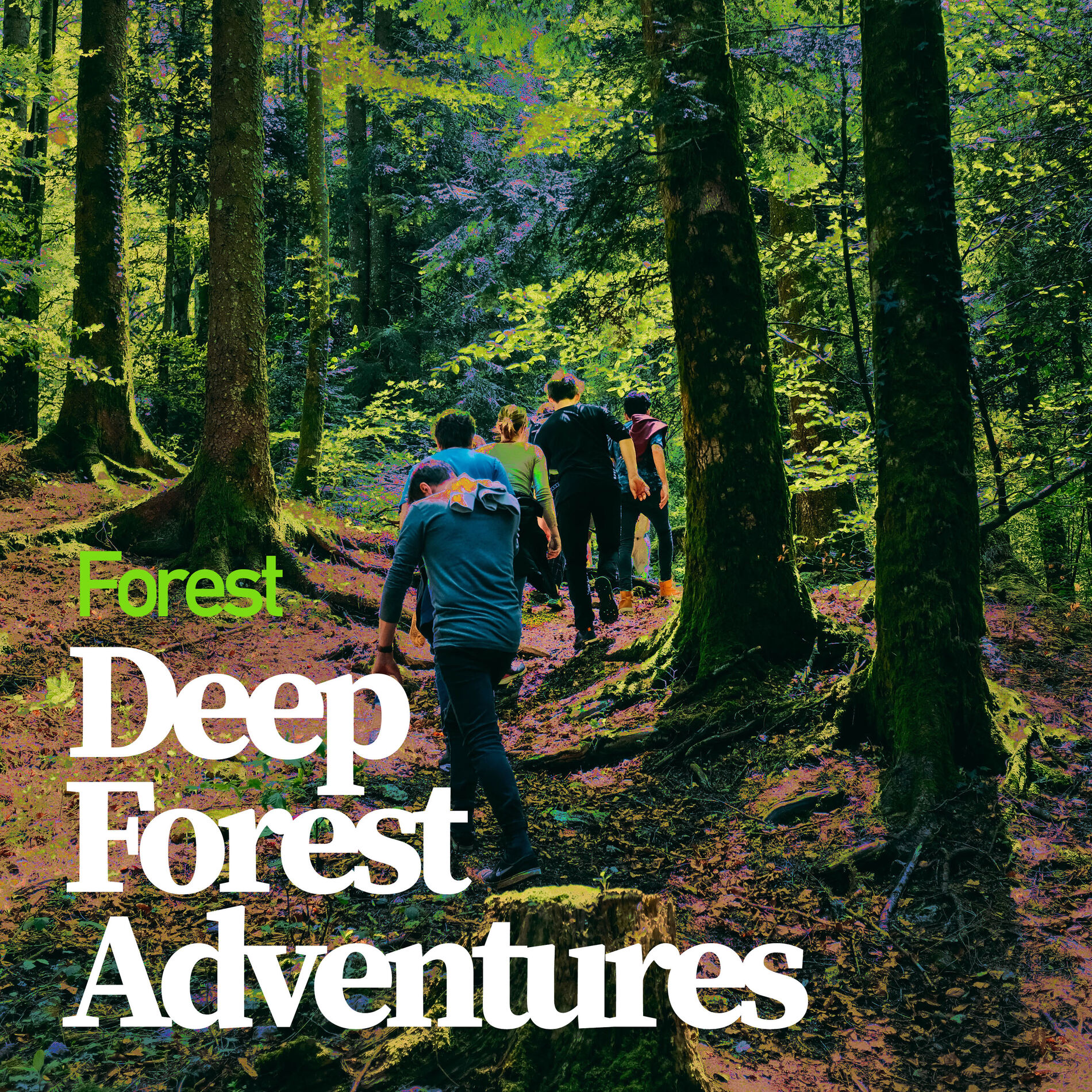 Album cover of Deep Forest Adventures