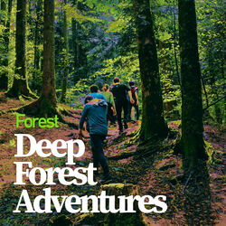 Cover of Deep Forest Adventures