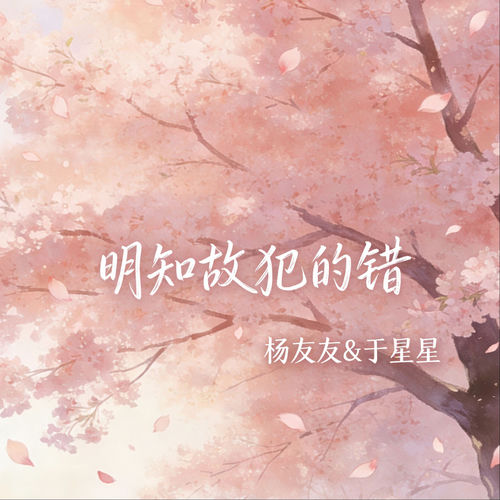 明知故犯的错