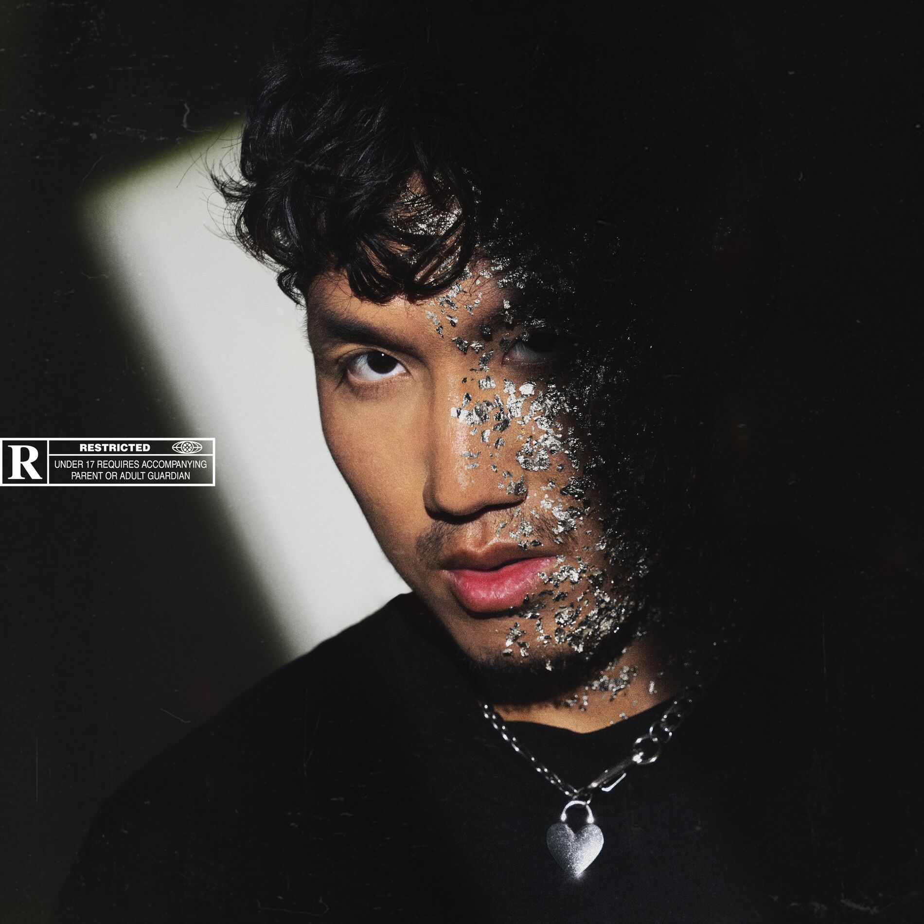 Album cover of EVO 3 argent