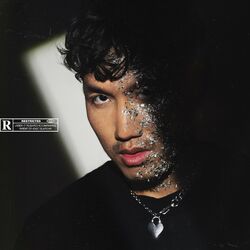 Cover of EVO 3 argent