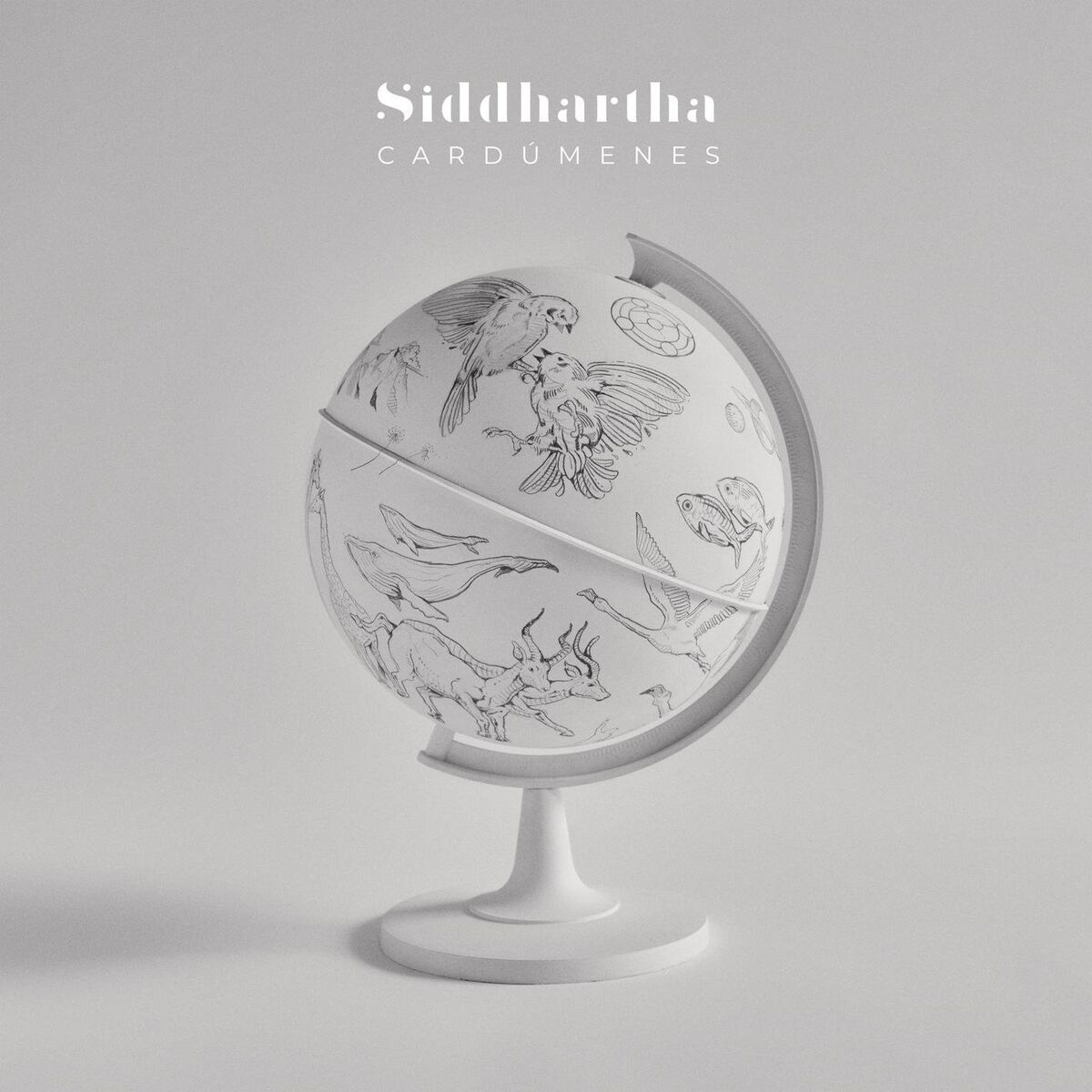 Album cover of Cardúmenes