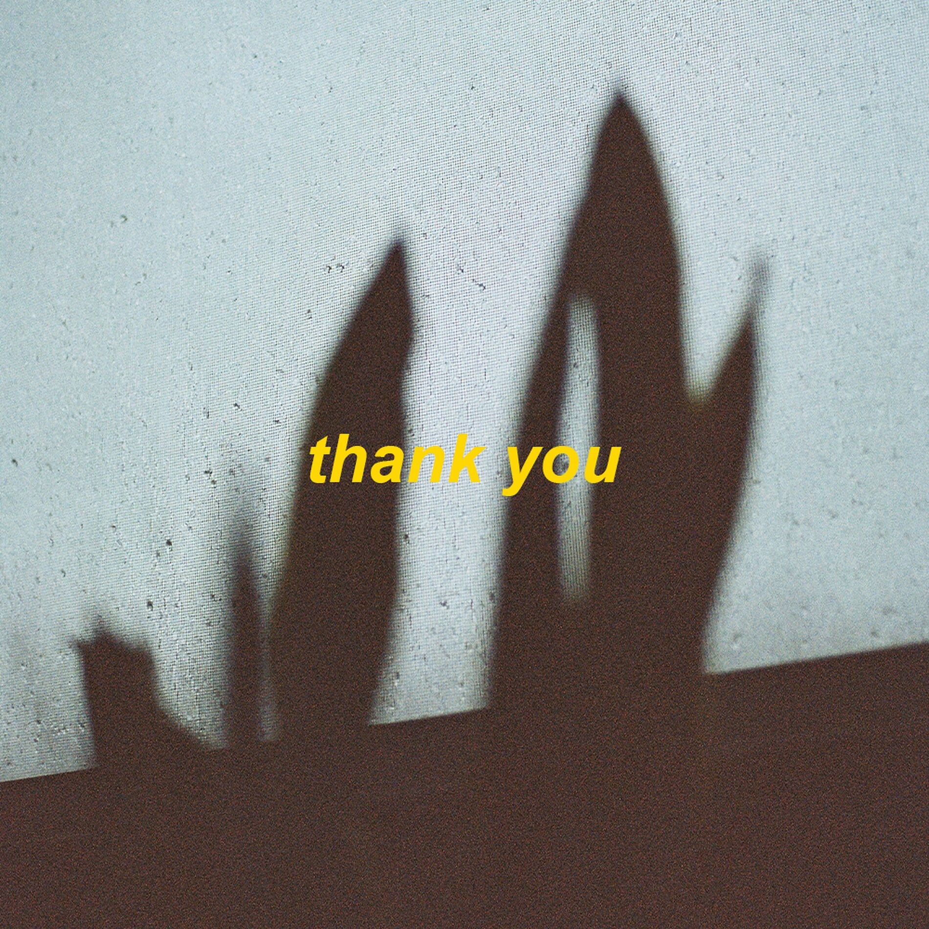 Album cover of thank you - slowed + reverb