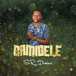 Cover of Bamidele