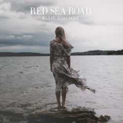 Cover of Red Sea Road