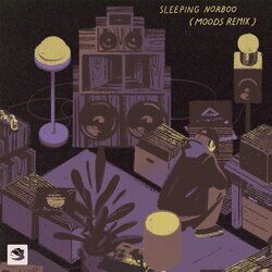 Cover of Sleeping Norboo (Moods Remix)
