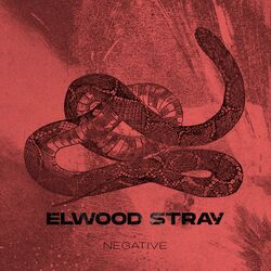 Cover of Negative