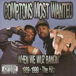 Cover of When We Wuz Bangin
