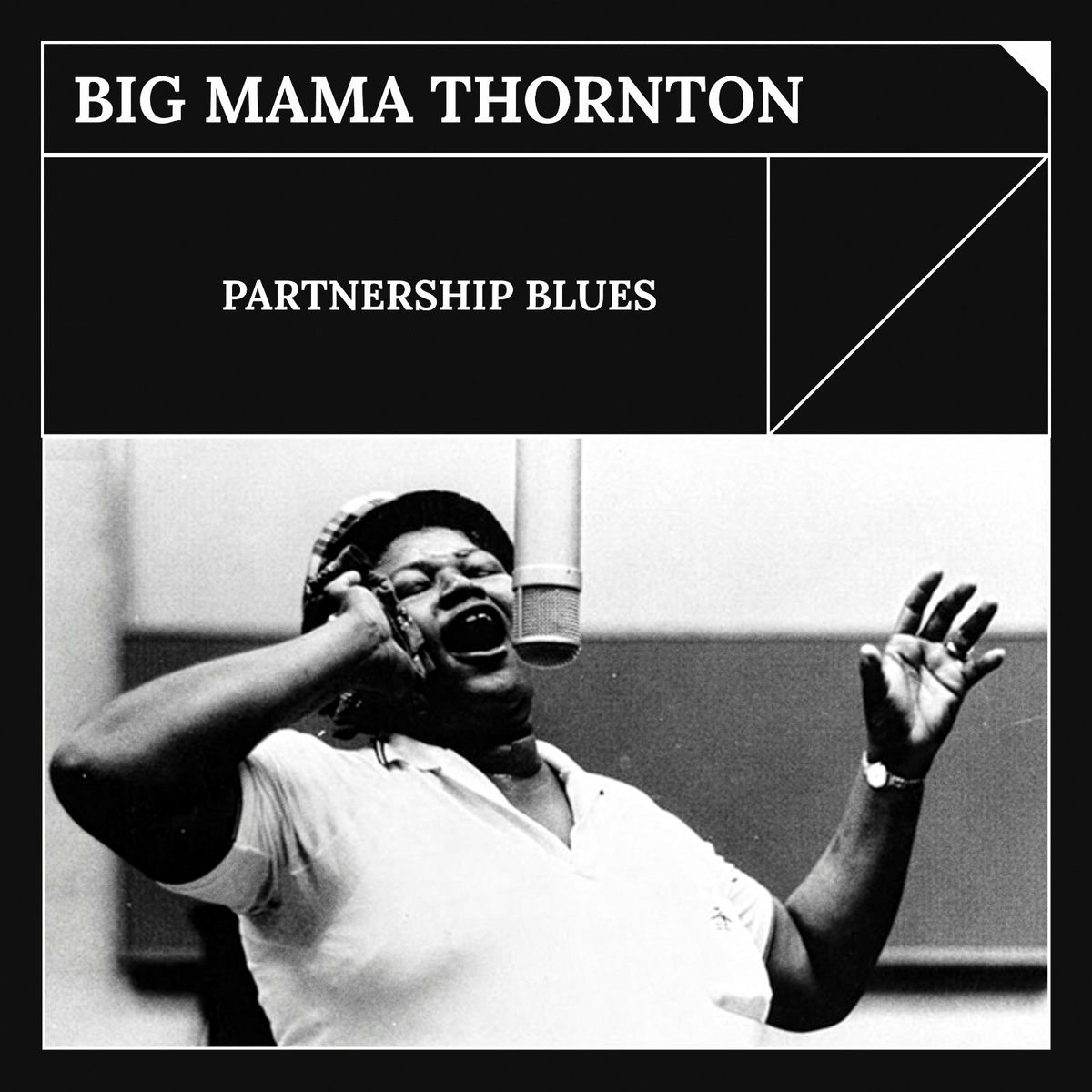 Album cover of Partnership Blues