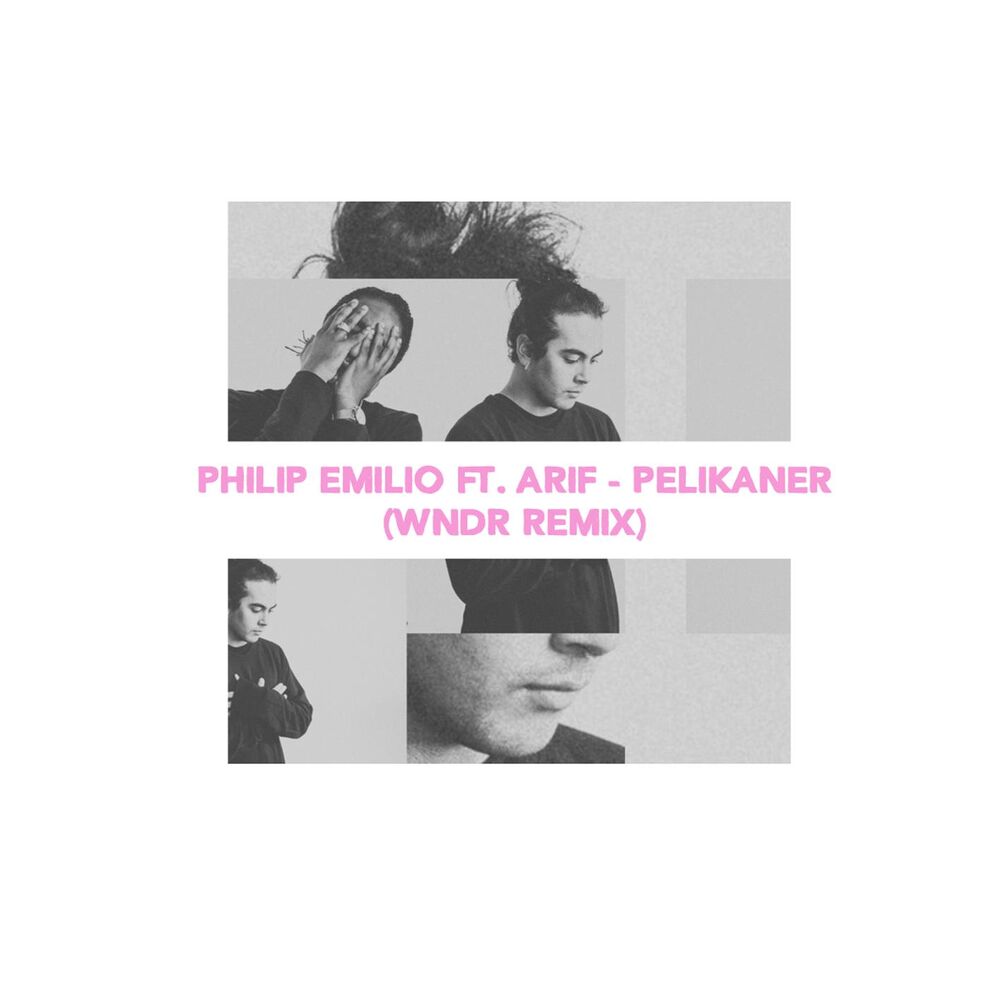 Picture of Pelikaner (with Arif Murakami) (WNDR Remix)