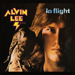 Cover of In Flight