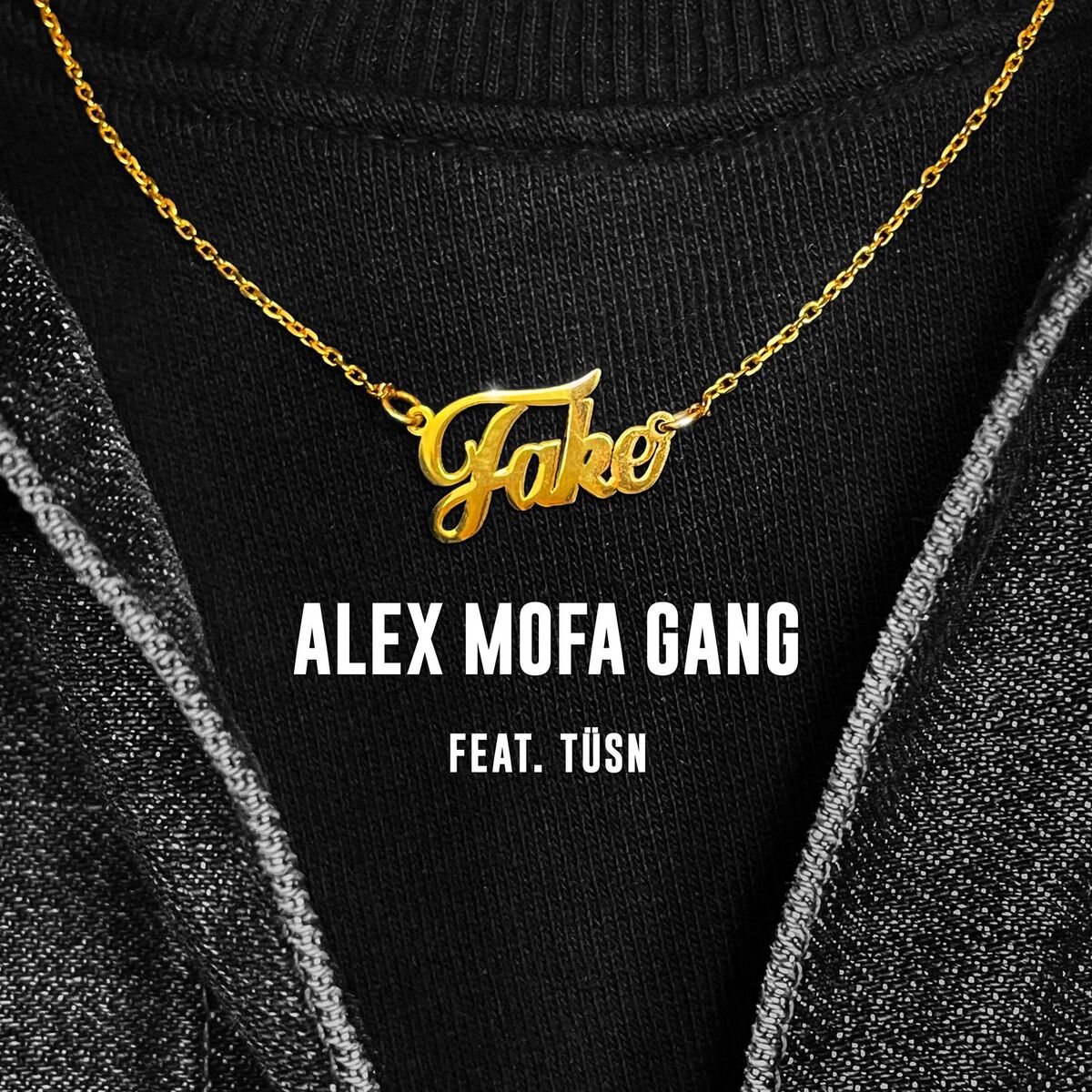 Album cover of Fake