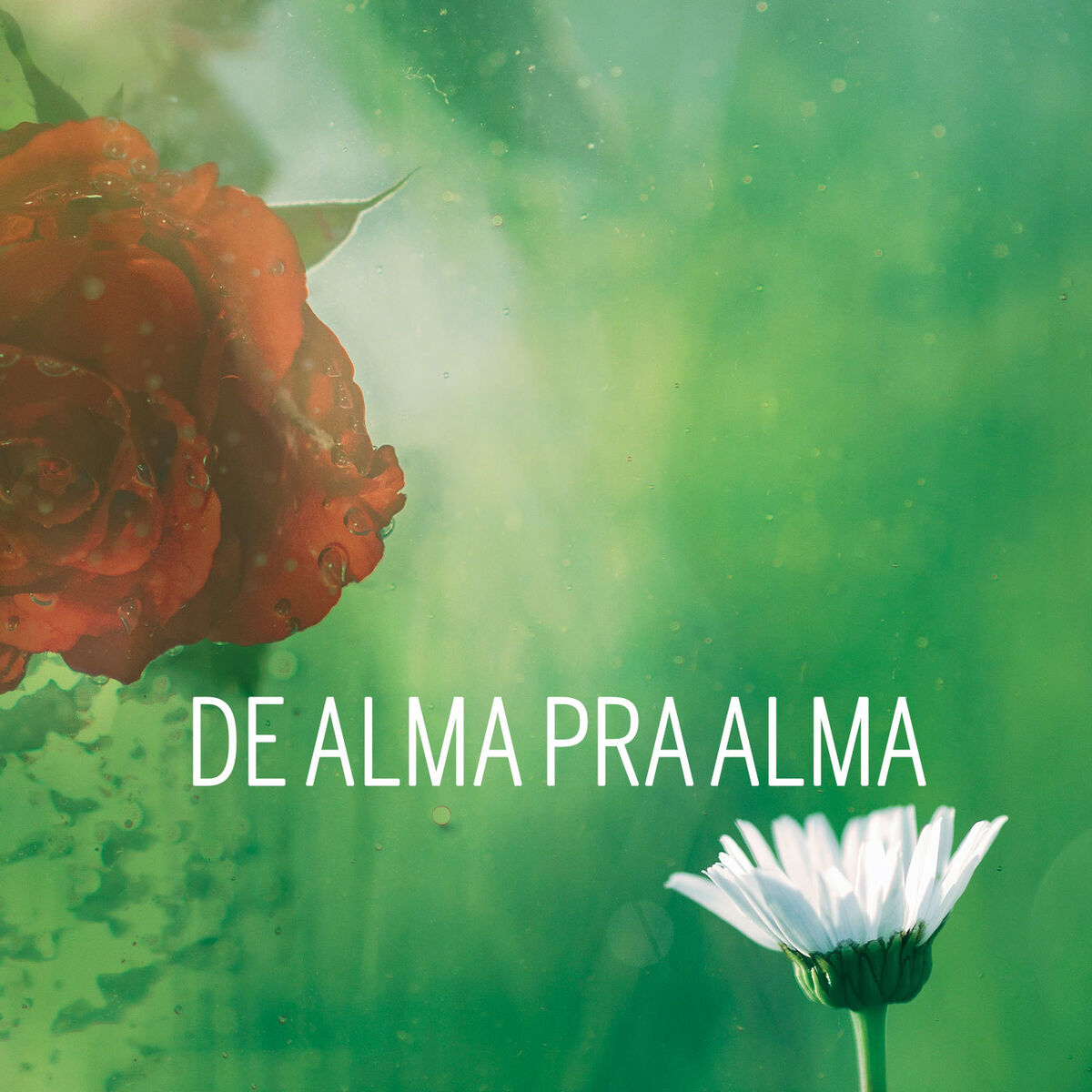 Album cover of De Alma pra Alma