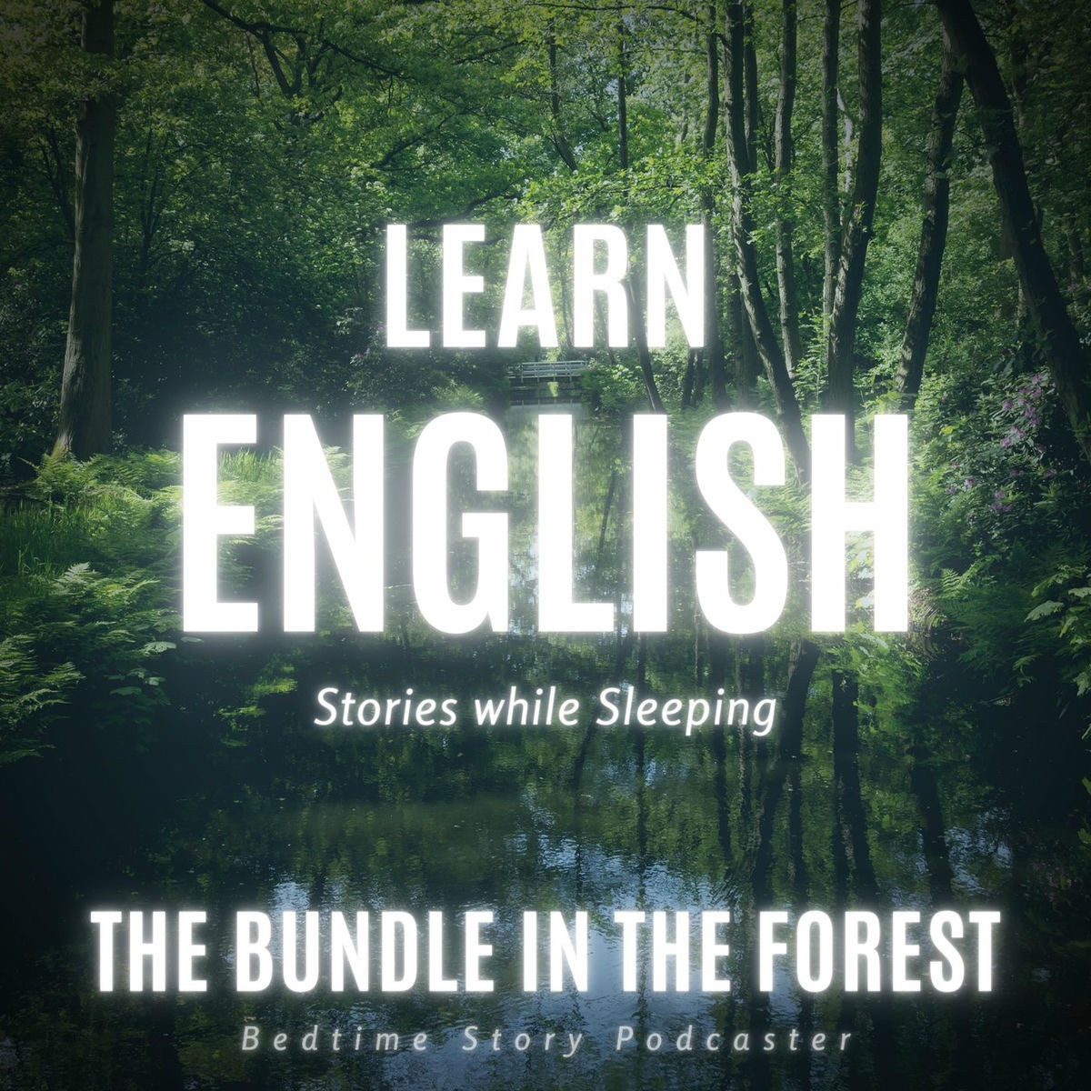 Album cover of Learn English Stories While Sleeping: The Bundle in the Forest