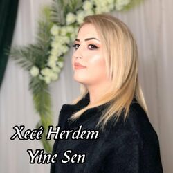 music cover