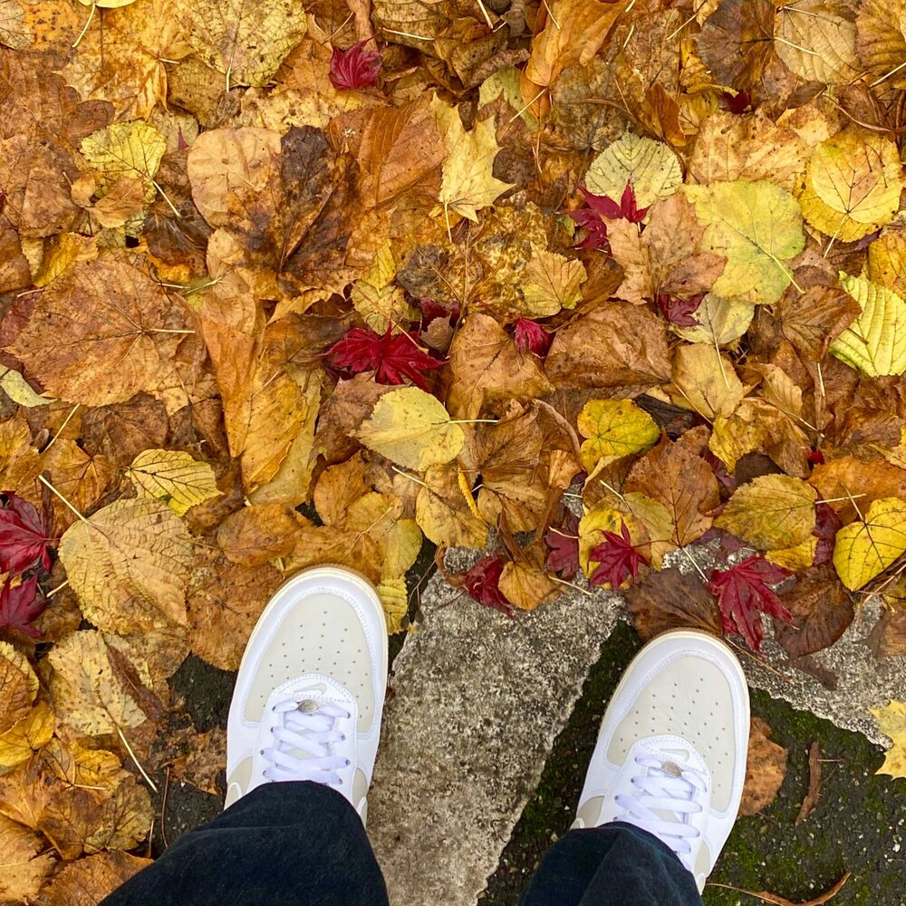 Picture of Camouflage