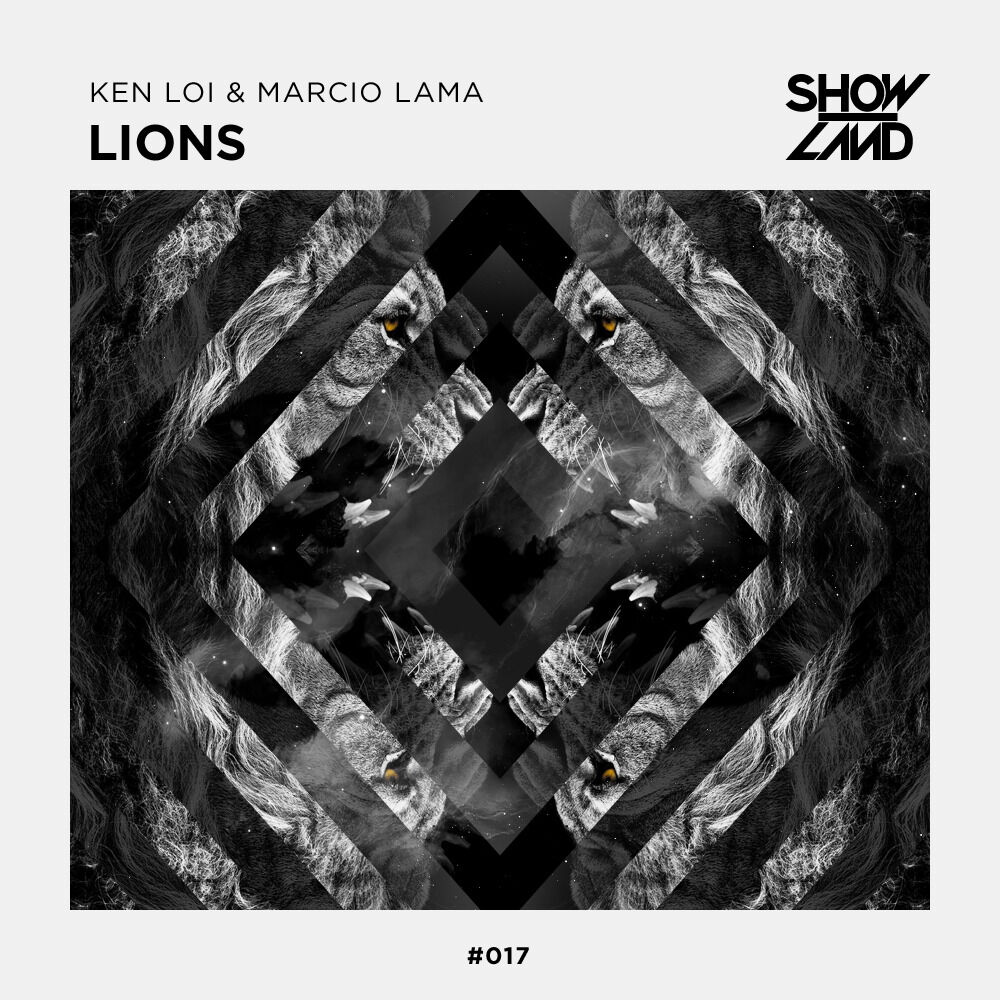 Picture of Lions