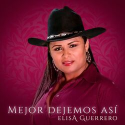 Cover of Mejor Dejemos Así