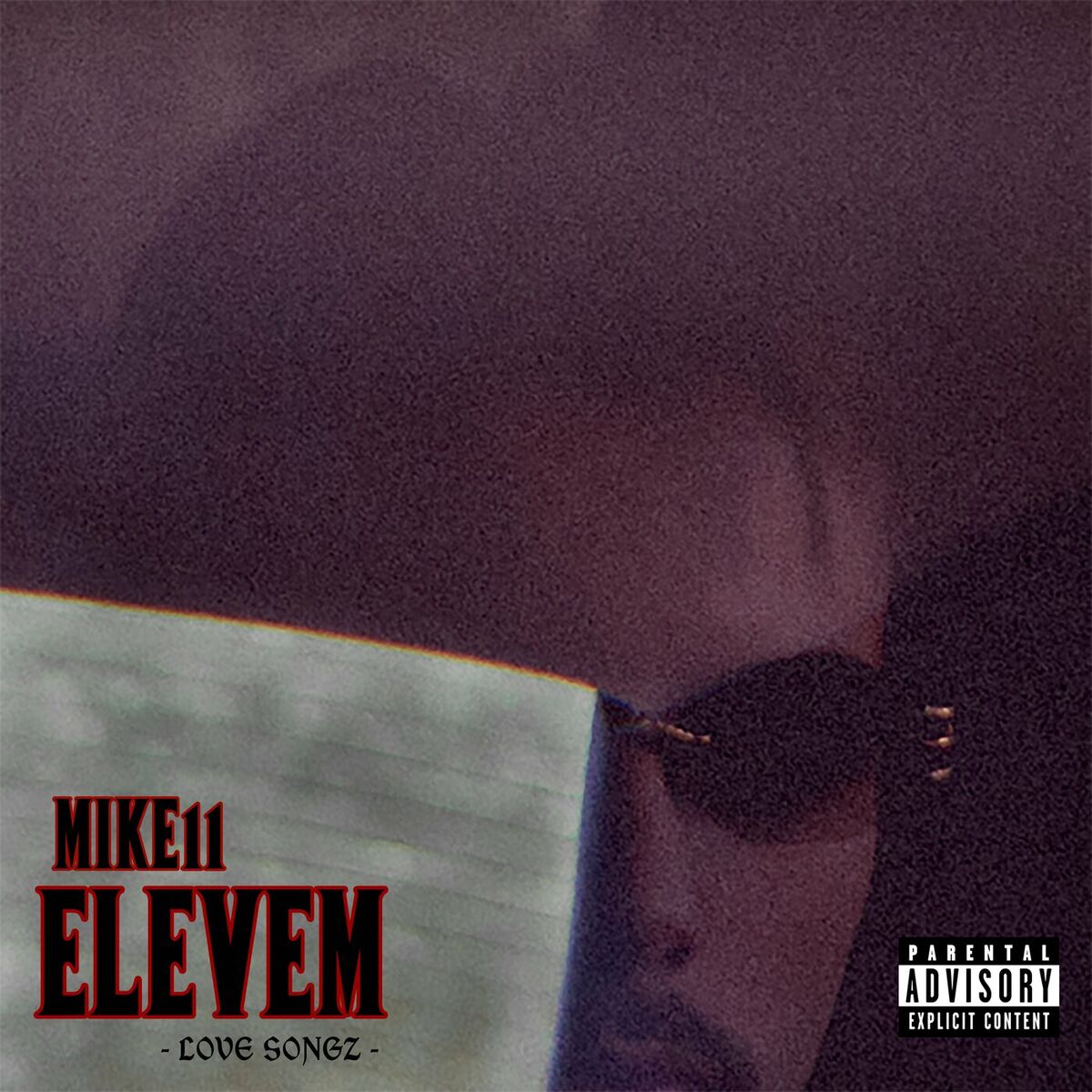 Album cover of ELEVEM