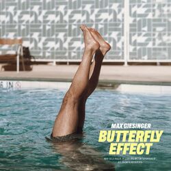 Cover of Butterfly Effect