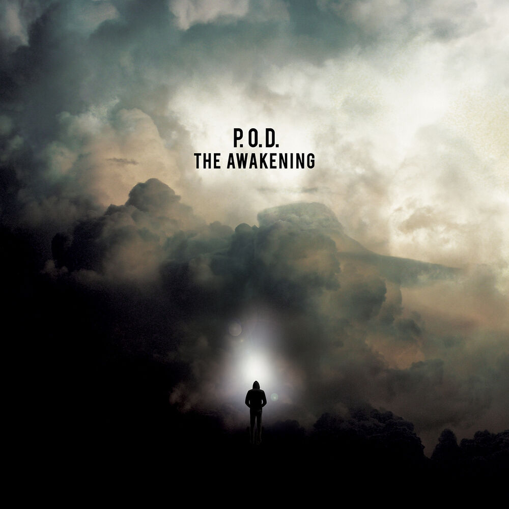 Picture of The Awakening