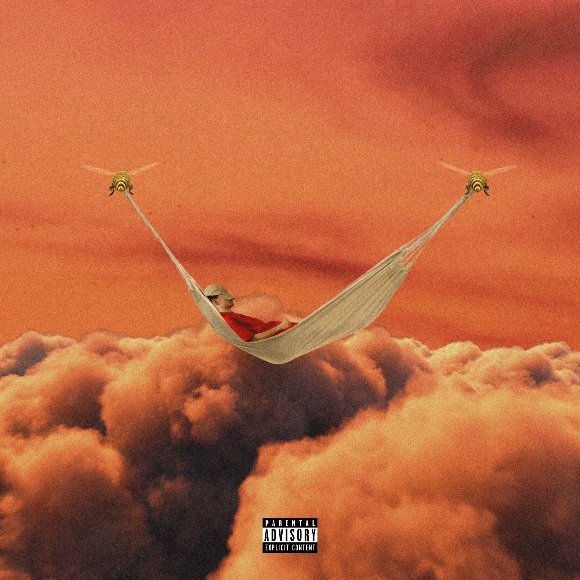 Album cover of Flemme
