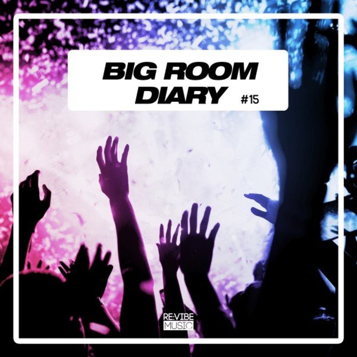 Album cover of Big Room Diary, Vol. 15