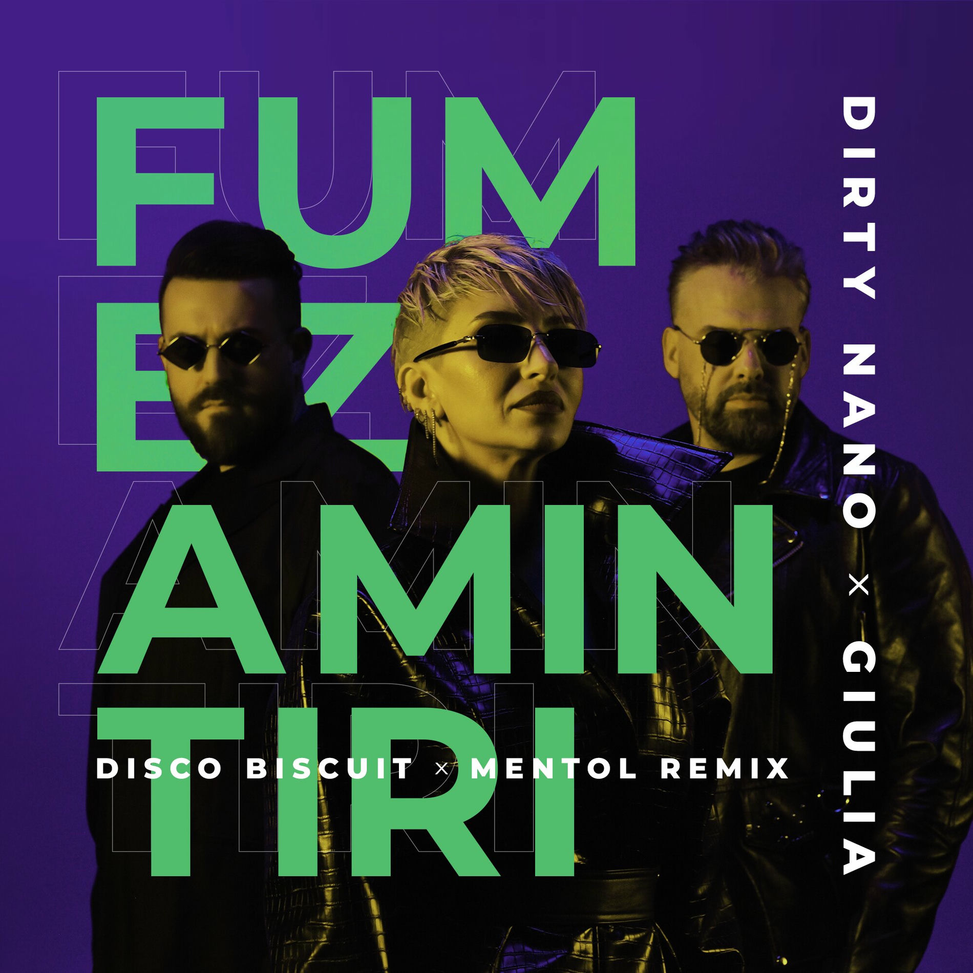 Album cover of Fumez amintiri (Disco Biscuit & Mentol Remix)