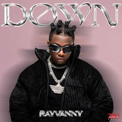 Cover of Down