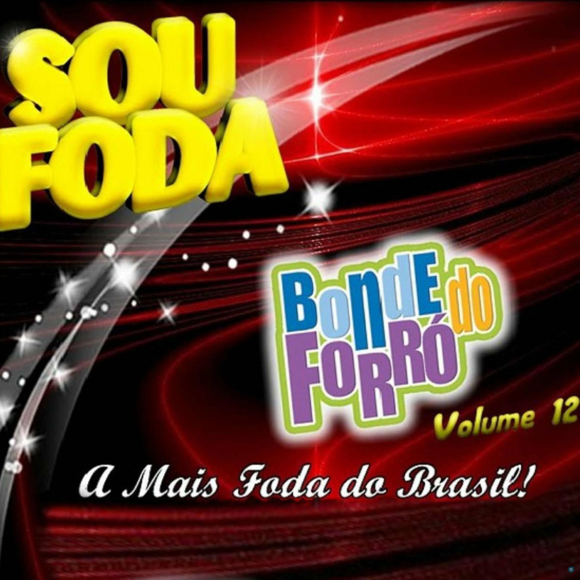 Album cover of Sou Foda, Vol. 12