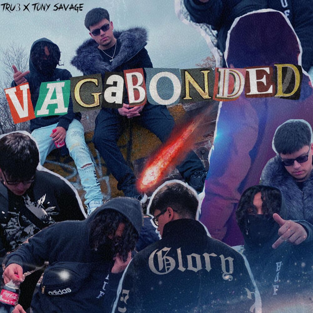 Picture of VAGABONDED