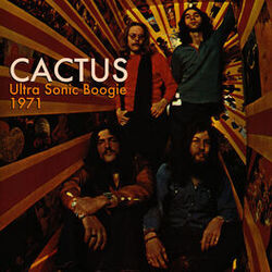Cover of Ultra Sonic Boogie 1971