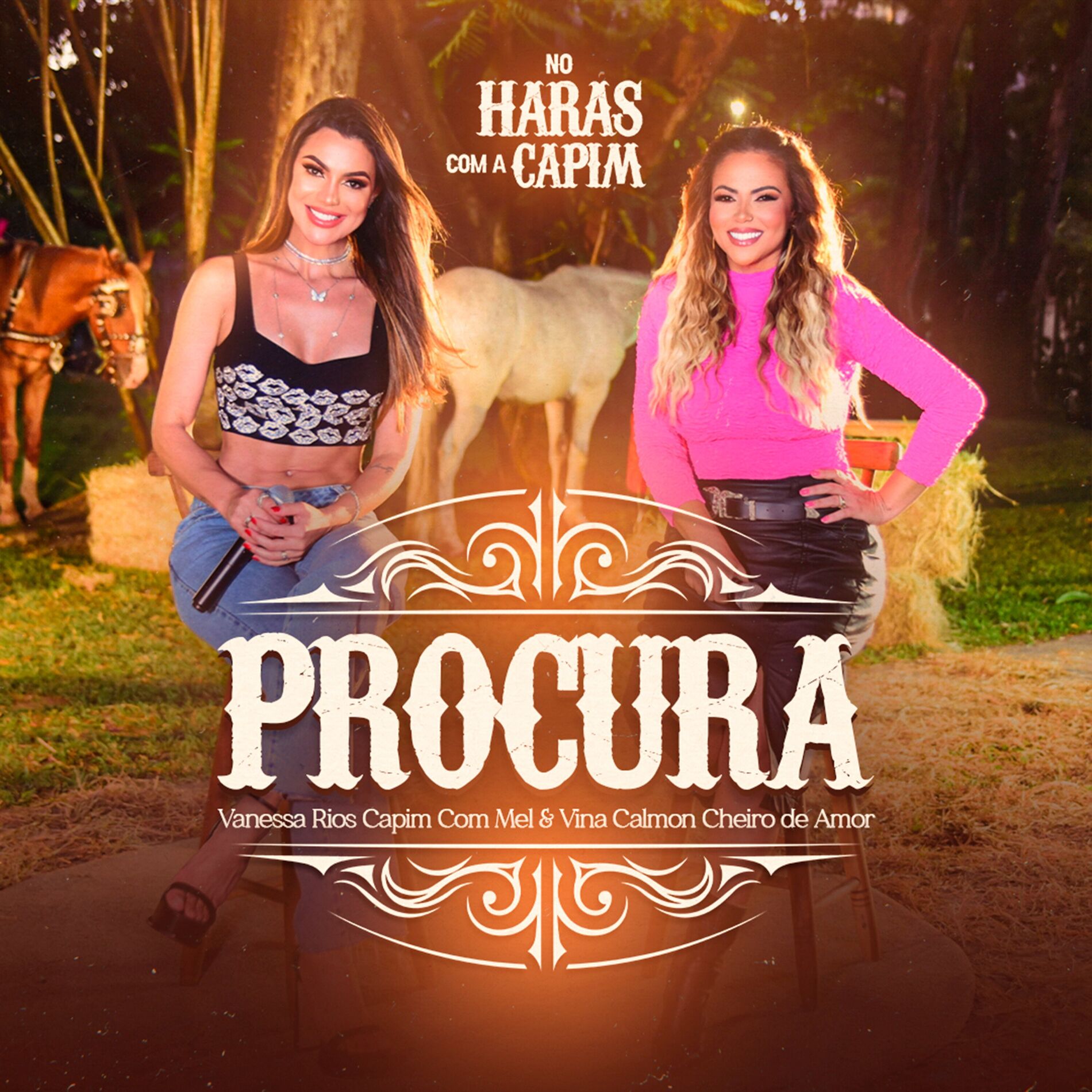 Album cover of Procura