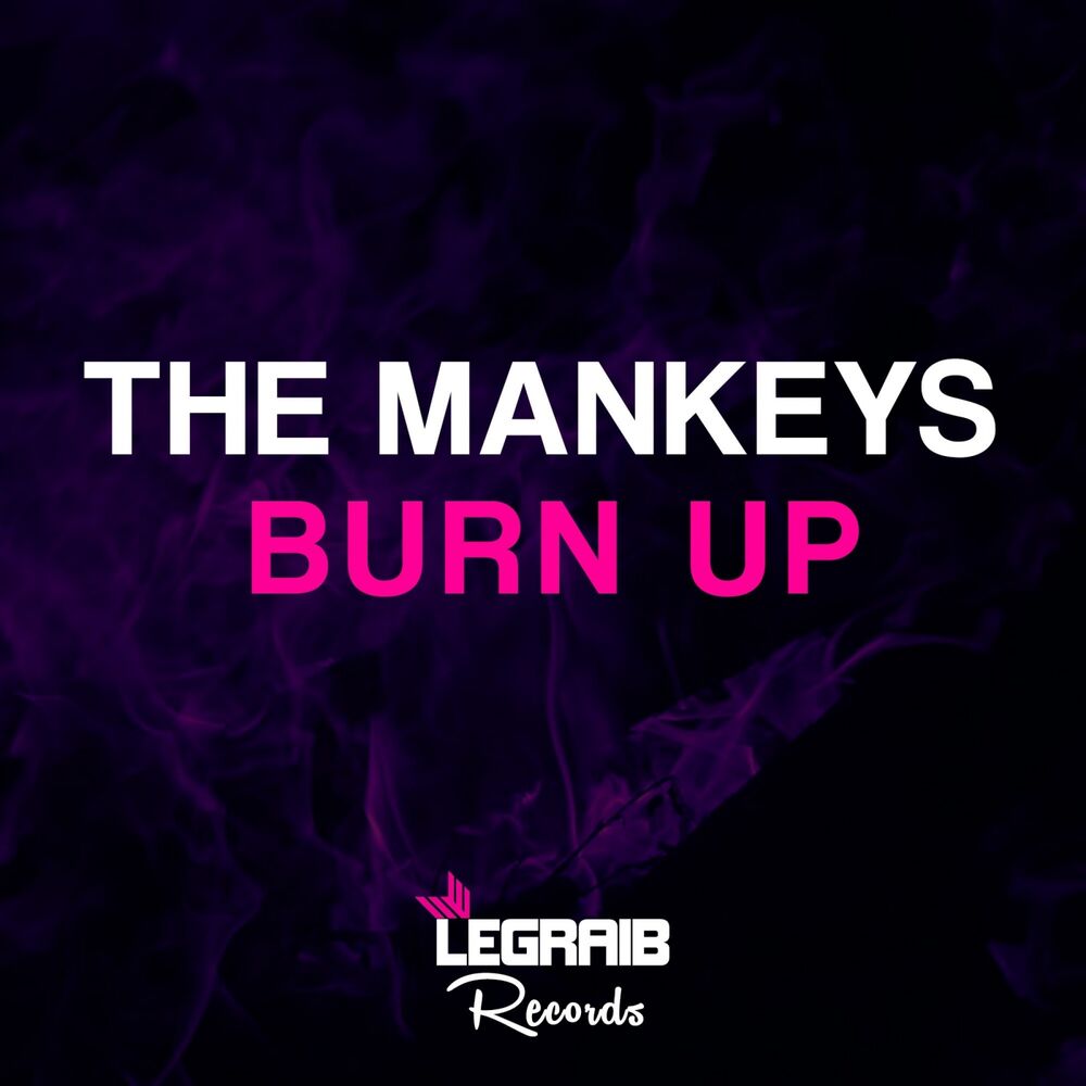 Picture of Burn Up