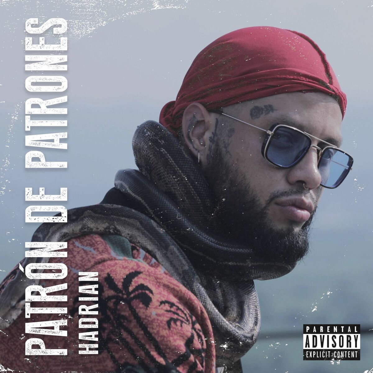 Album cover of Patrón De Patrones