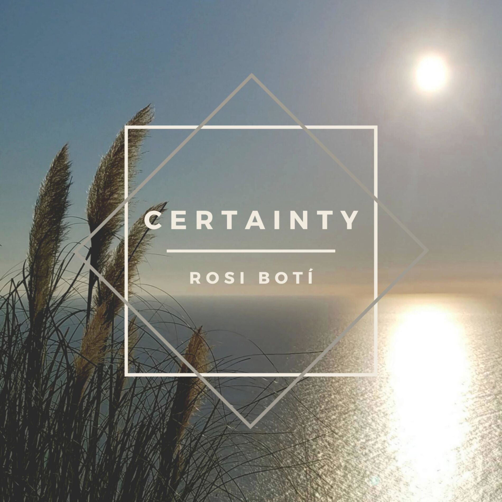 Album cover of Certainty