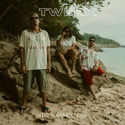 Cover of Twerk
