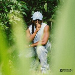 Cover of SAUVEGARDE